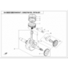 12 - EMBIELLAGE PISTON ET SEGMENTS CFORCE 520 S L7E COURT  (2018)