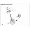 55 - EMBIELLAGE PISTON SEGMENT AVEC STATOR 600 W CFORCE 625 T3 EPS  (2020)