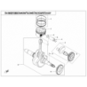 55 - EMBIELLAGE BIELLE PISTON SEGMENT CFORCE 520 S L7E COURT  (2021)