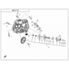 35 - EMBRAYAGE MASSELOTTES CFORCE 110 KID THERMIQUE  (2023)