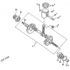 2 -  EMBIELLAGE / PISTON DL601 50CC