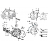 3 - CACHE CARTER MOTO MASAI FURIOUS RACING 125