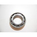   ROULEMENT 6007RS