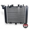 RADIATEUR SEUL 550/15 : RADIATEUR SEUL 550/15