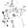 19 - SYSTEME ELECTRIQUE MOTO MASAI BLACK CAFE 50