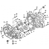 1 -  CARTER BAS MOTEUR DL901 DMX450 Av 2008,