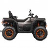 QUAD GOES TERROX1000 R ABS