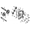 37 -  CARTER TRANSMISSION CITY WALKER 125