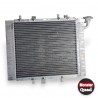 RADIATEUR : RADIATEUR