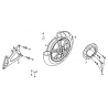 12 -  ROUE ARRIERE CITY WALKER 125