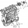 17 - THERMOSTAT