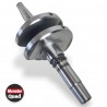 VILEBREQUIN MARK A PANACHABLE AVEC BALANCIER MARK B