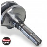 VILEBREQUIN MARK A PANACHABLE AVEC BALANCIER MARK B