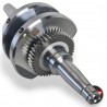 VILEBREQUIN MARK A PANACHABLE AVEC BALANCIER MARK B