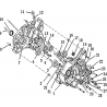 1 - CARTER MOTEUR MOTO MASAI X-RAY 50