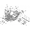 1 - CHASSIS JOBBER 800 DMAXX