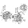 6 - CARTER MOTEUR MOTO MASAI X-RAY 125