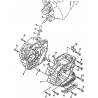 6 - CARTER MOTEUR MOTO MASAI DARK ROD 125