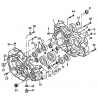 1 -  CARTER BAS MOTEUR DL904  DMX460 2008
