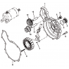 10 -  CACHE ALTERNATEUR DL904  DMX460 2008