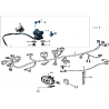 19 - SYSTEME ELECTRIQUE MOTO MASAI MUSCLE 125