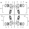 33 - CLIGNOTANTS MOTO MASAI MUSCLE 125