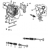 22 -  CULASSE / SOUPAPE / PIPE D'ADMISSION EGGY 125
