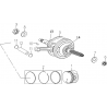 6 -  EMBIELLAGE / PISTON G300