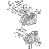 14 - POMPE A HUILE A550 INFINITE