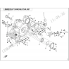 52 - CARTER D ALLUMAGE ZFORCE 1000 SPORT R EPS (2024)