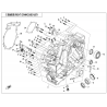 50 - CARTER MOTEUR DROIT ZFORCE 950 SPORT 4 PLACES (2024)
