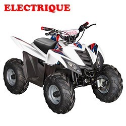 CONTACTEUR A CLÉ quad hytrack 50 et 80 neiman hytrack et quad chinois EUR  33,90 - PicClick FR